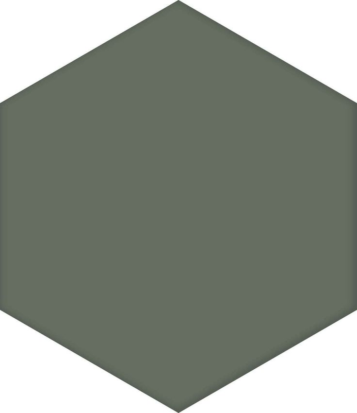Codicer Basic Hex 25 Moss 22x25 ID 380322 - 1