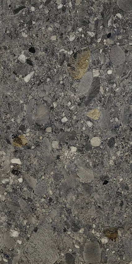Cercom Ceppo Di Gres Nero 60x120 ID 498636 - 1