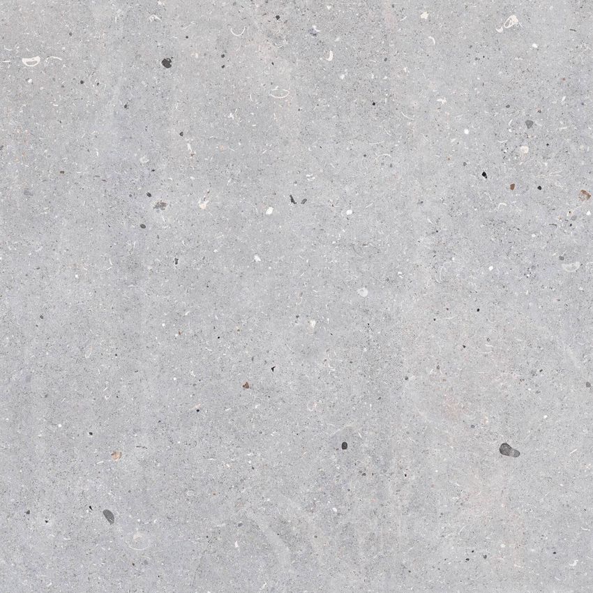 Codicer Messel Silver 66x66 ID 457184 - 1