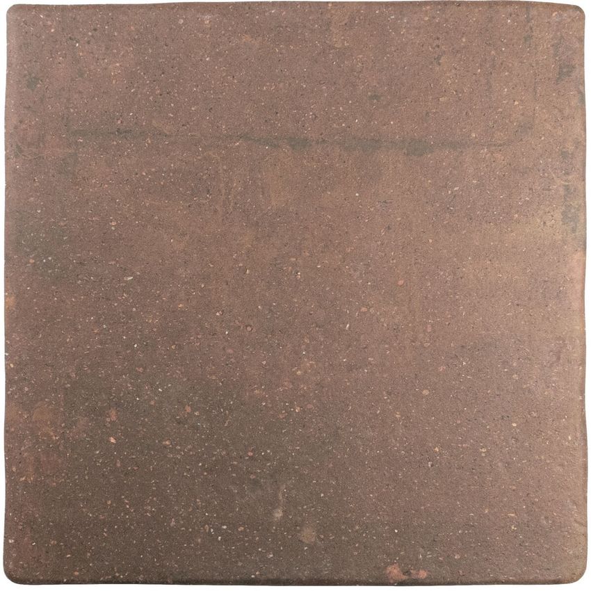 Wow Roots Rust 22x22 ID 479226 - 1
