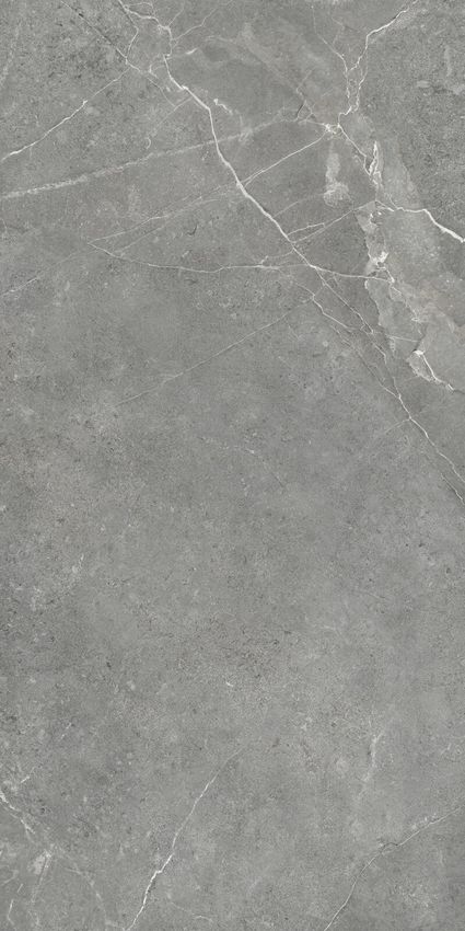 Artkera Group Titanium Gris 60x120 ID 553317 - 1