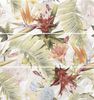 APE Cloud Set (3) 35x100 ID 461962