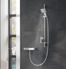 Душевая лейка Hansgrohe Raindance Select E