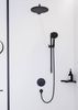 Душевая лейка Hansgrohe Raindance Select S