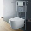 Кнопка смыва Duravit DuraSystem А2 - 4